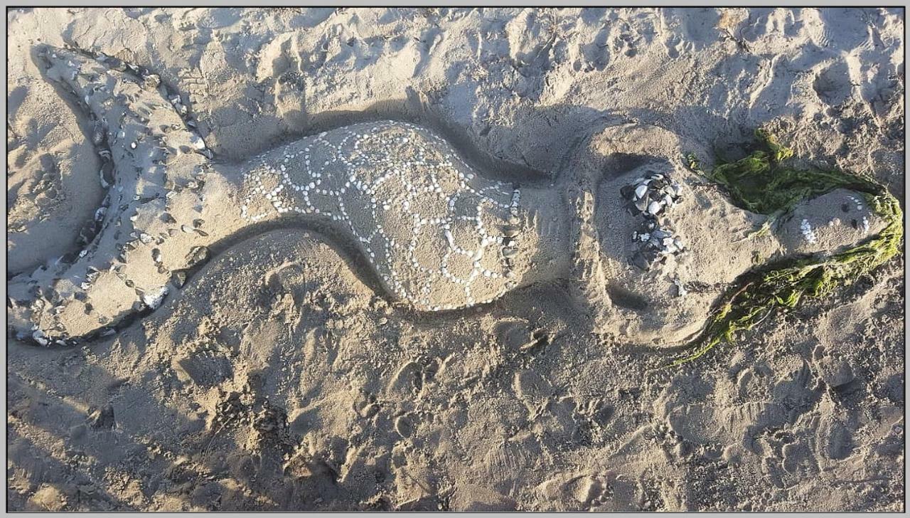 Ddr Wohnwagen Qek Direkt Am Strand ドランスケ エクステリア 写真